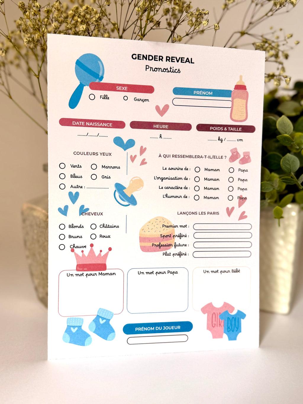Gender reveal thème à sélectionner - 10 fiches A5