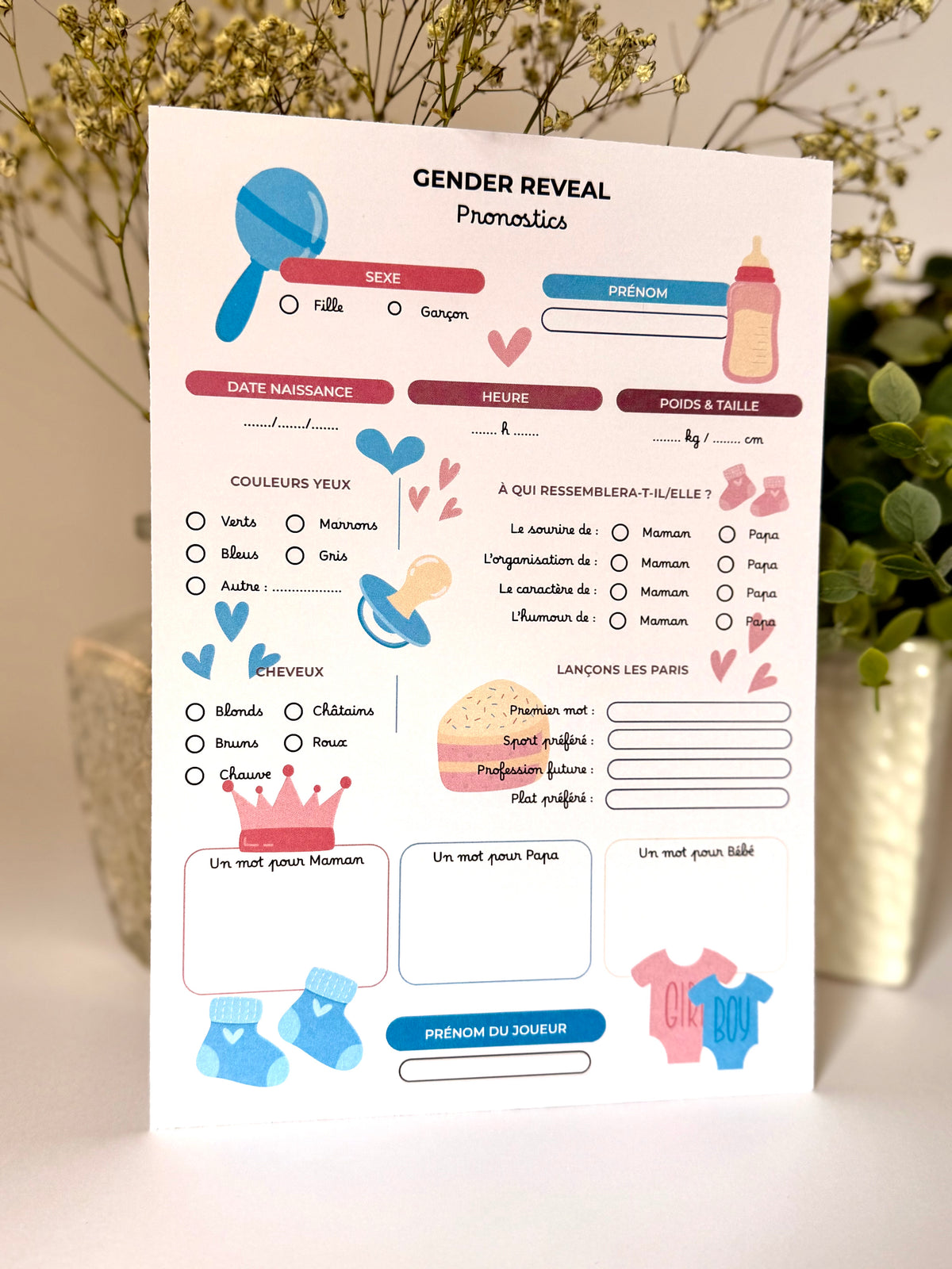 Gender reveal thème à sélectionner - 10 fiches A5