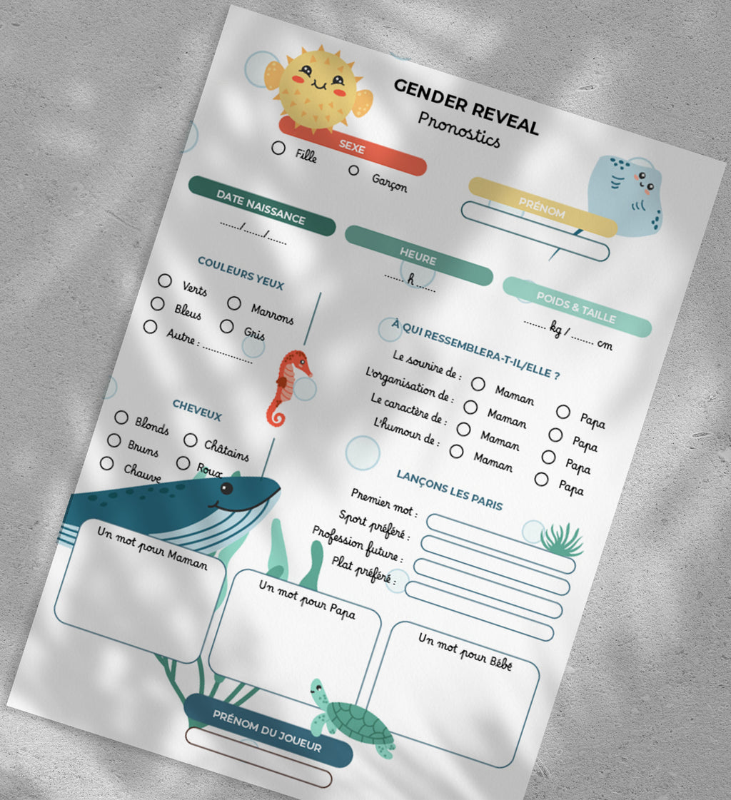 Gender Reveal Ourson - 10 fiches A5