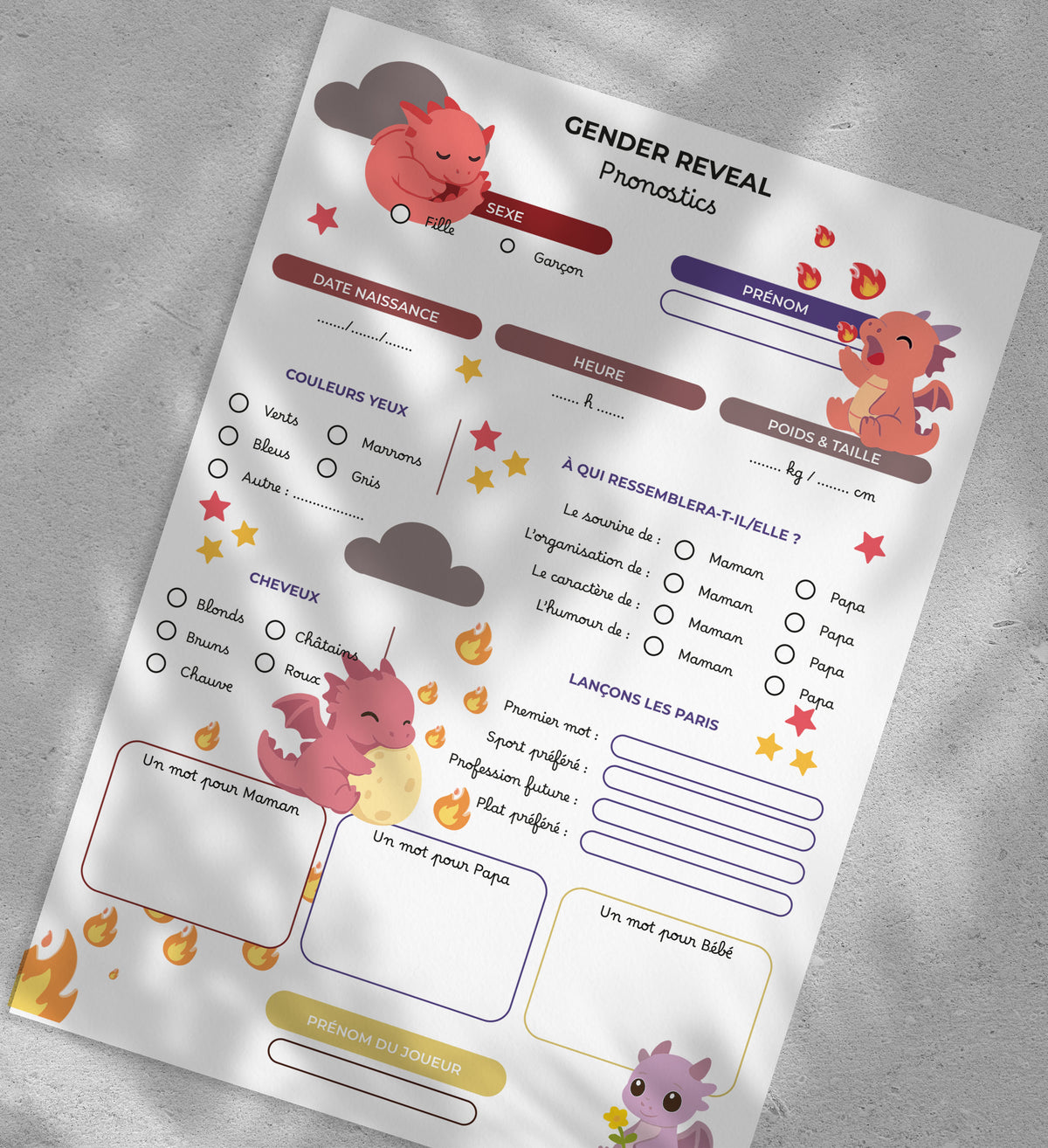 Gender Reveal Ourson - 10 fiches A5