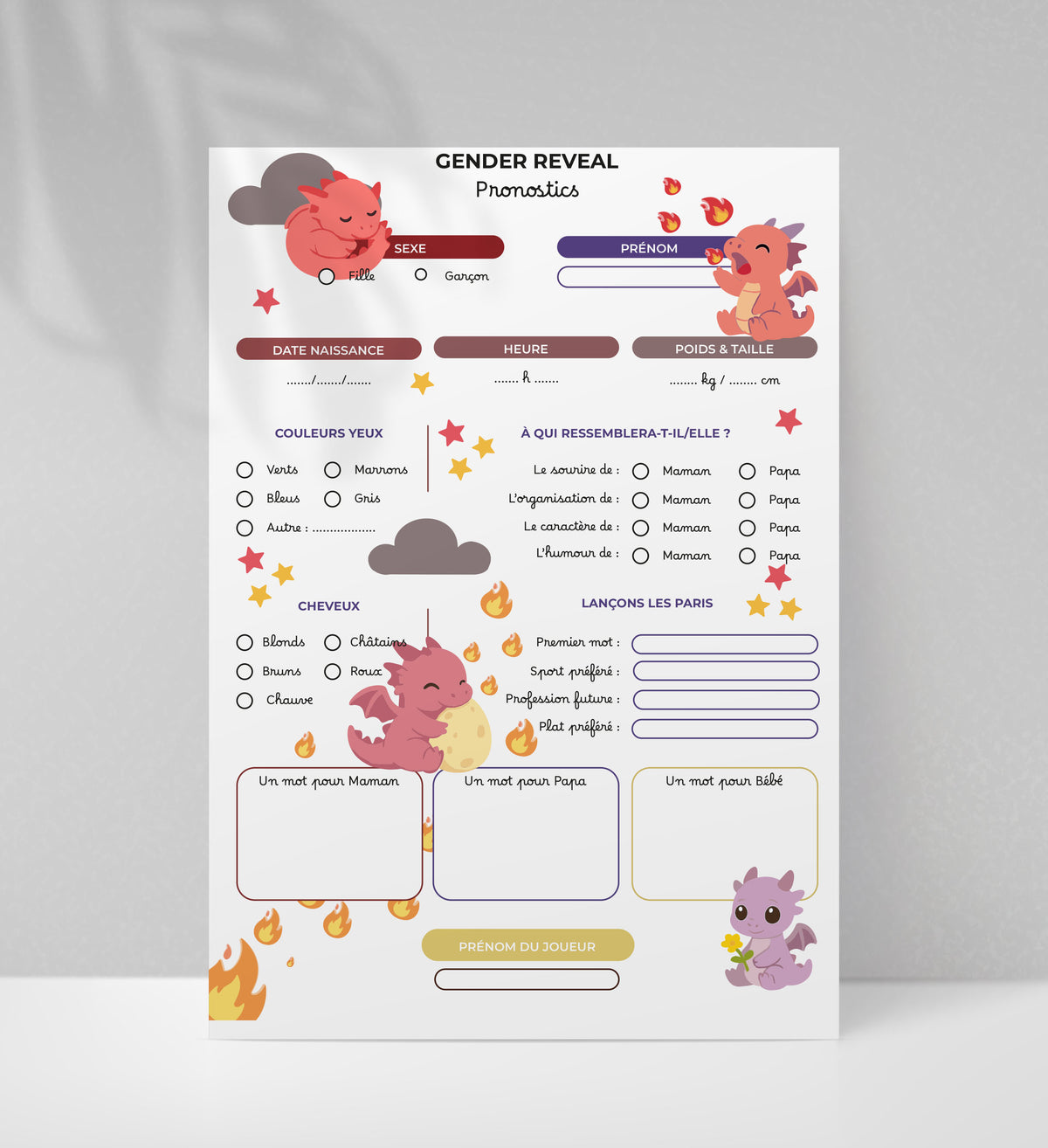 Gender Reveal Dragon - 10 fiches A5