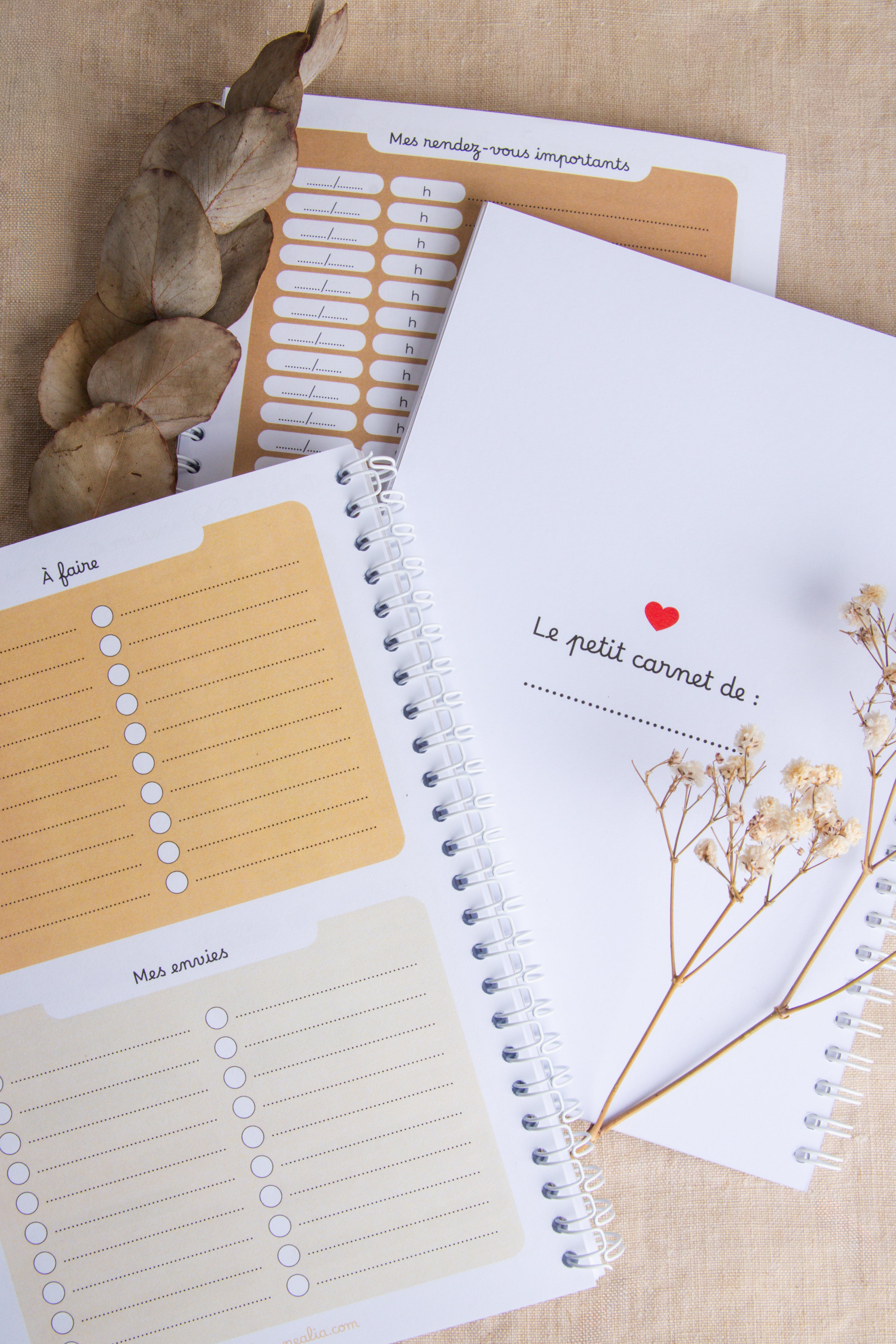 Carnet de suivi bébé 0-4 mois - LEOPARD