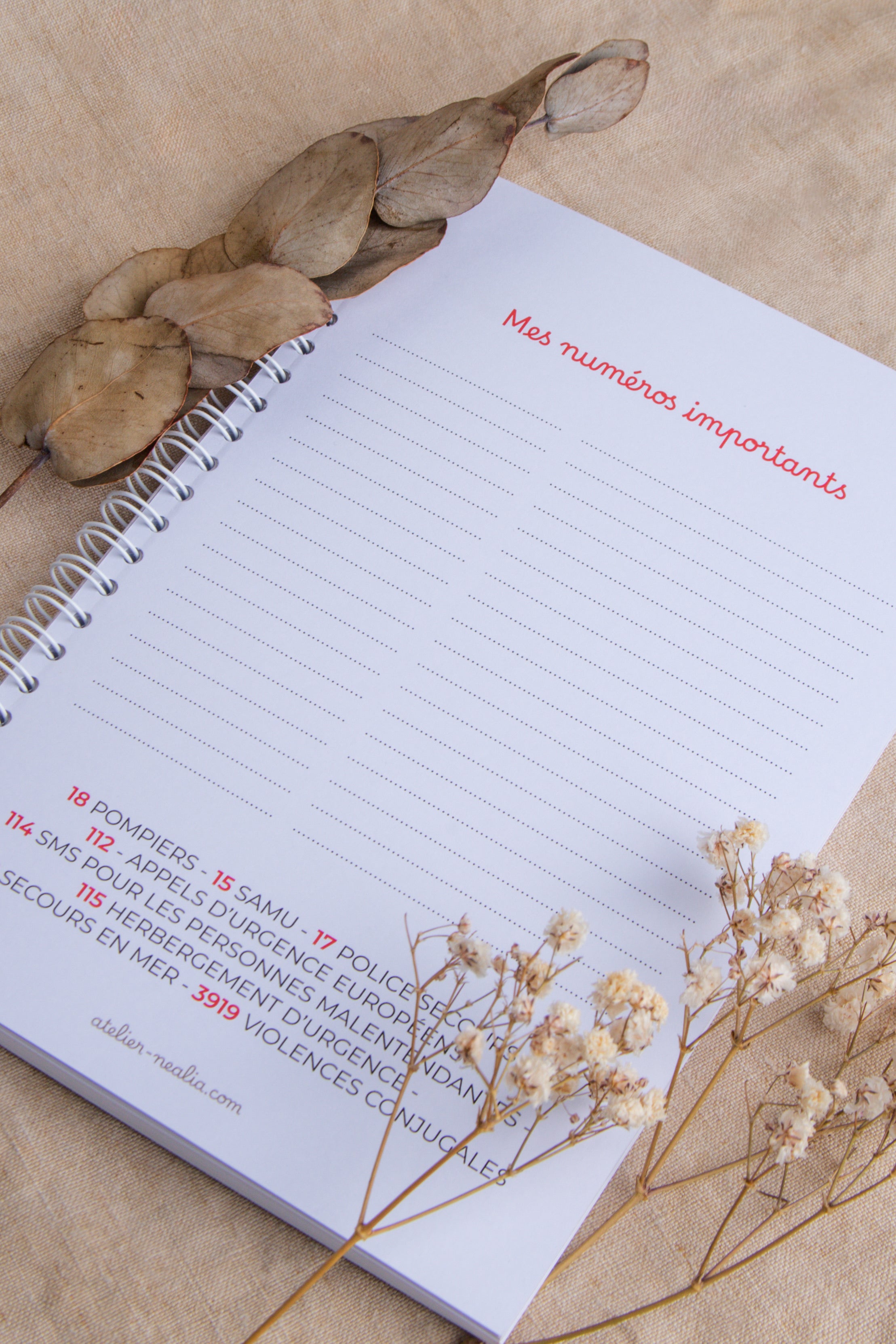 Carnet de suivi bébé 0-4 mois - GIRAFE