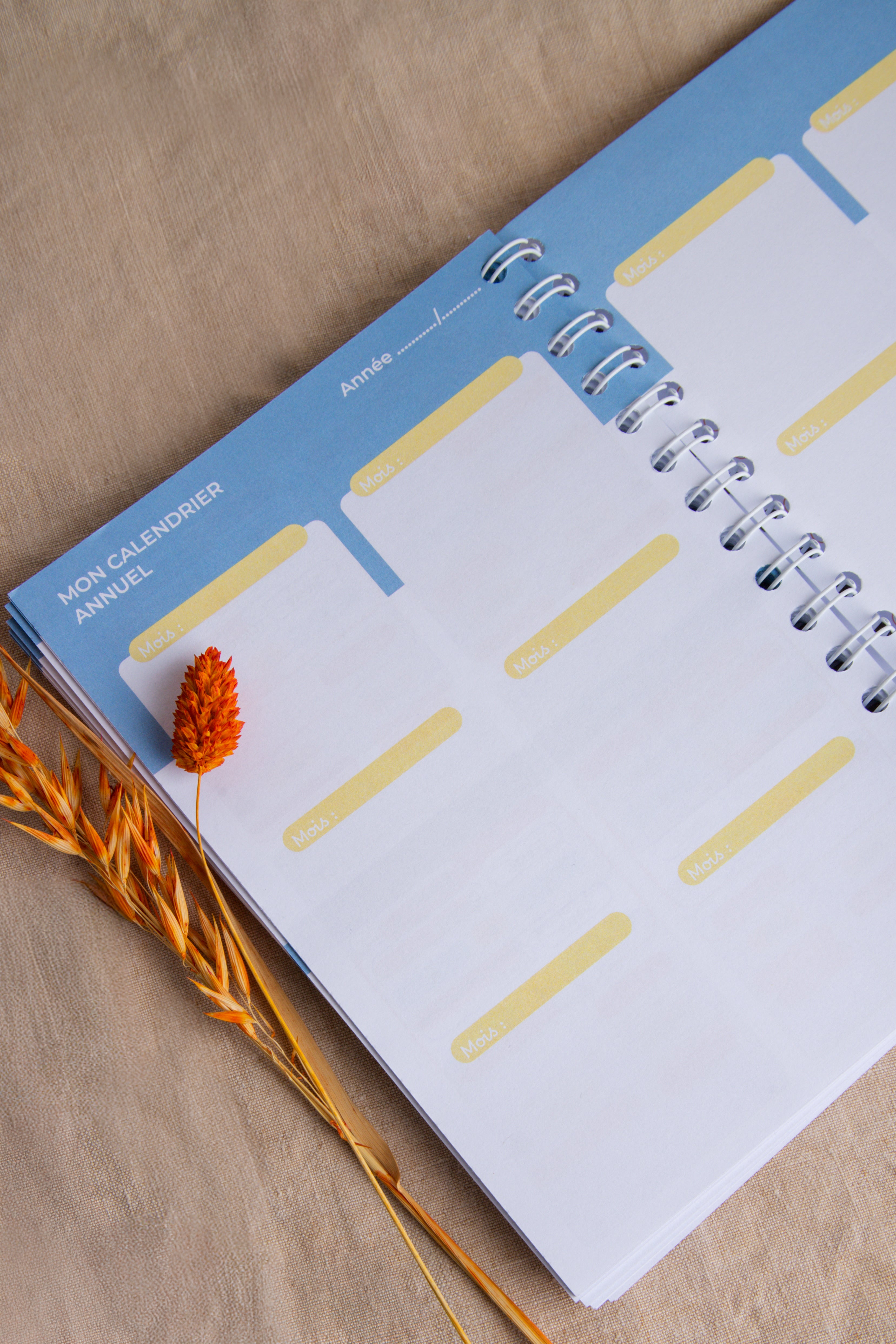 Carnet de liaison bébé ou enfant - Journal de garde