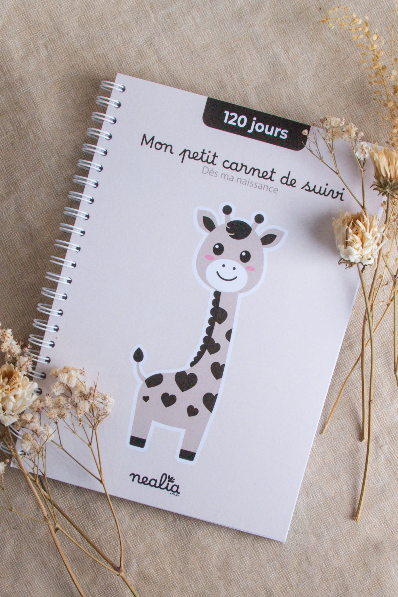 Carnet de suivi bébé 0-4 mois - GIRAFE