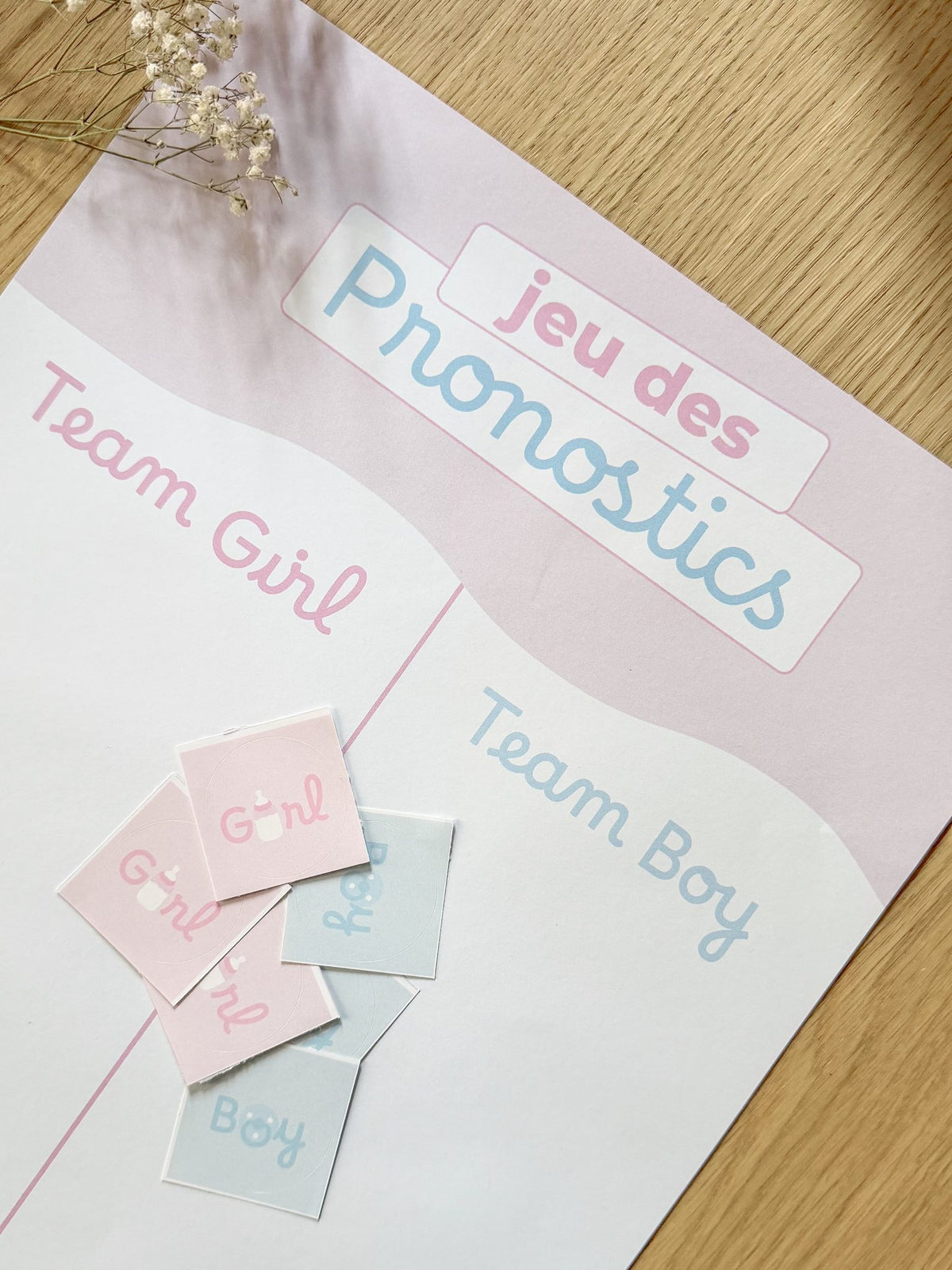 Affiche Jeu des pronostics Gender Reveal – A3
