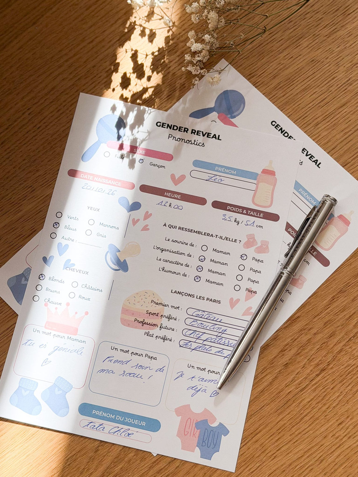 Gender Reveal Girl & Boy - 10 fiches A5