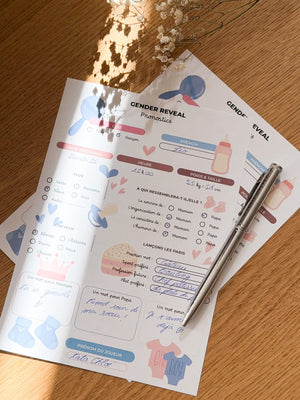 Gender Reveal Girl & Boy - 10 fiches A5