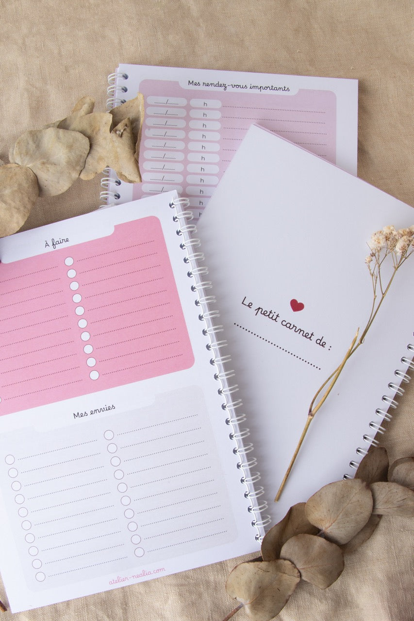 Carnet de suivi bébé 0-3 mois - LAPIN