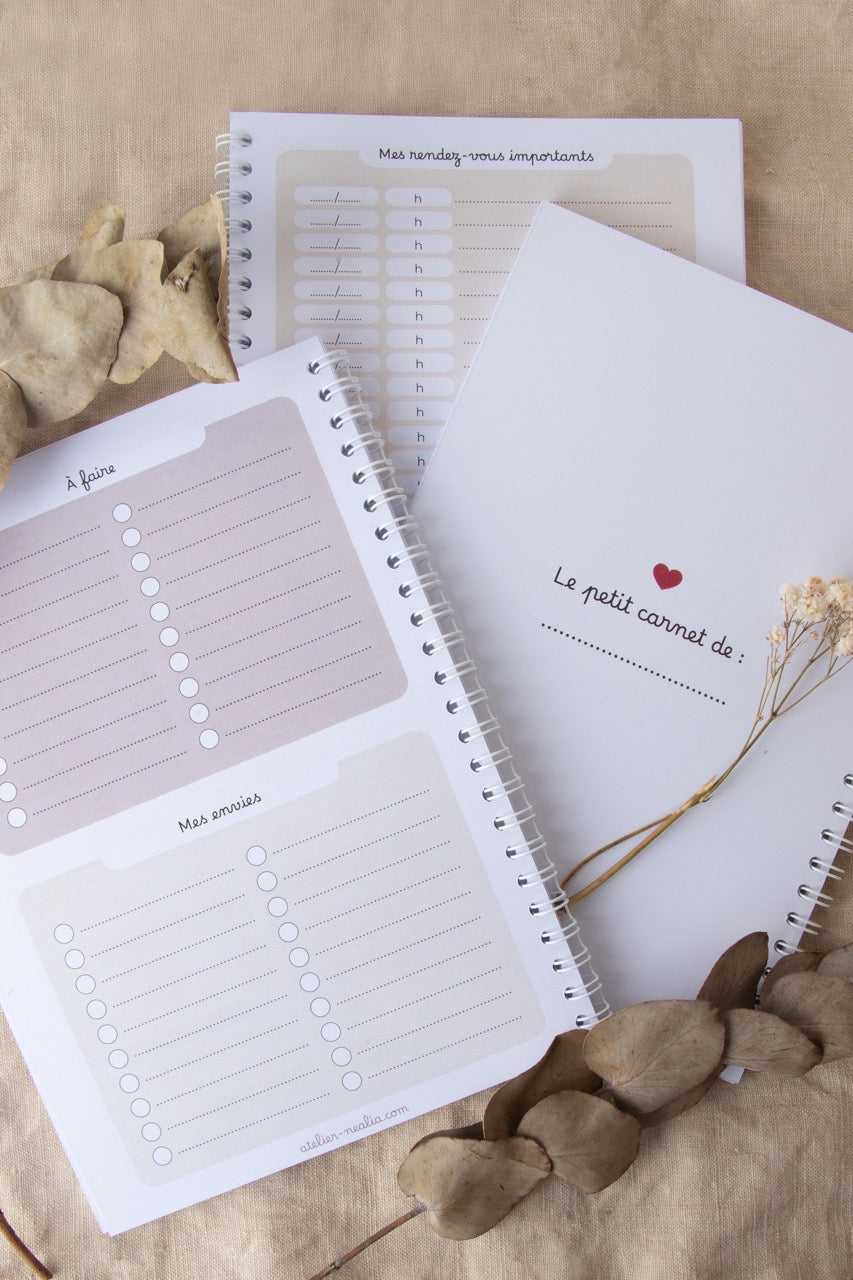 Carnet de suivi bébé 0-4 mois - GIRAFE