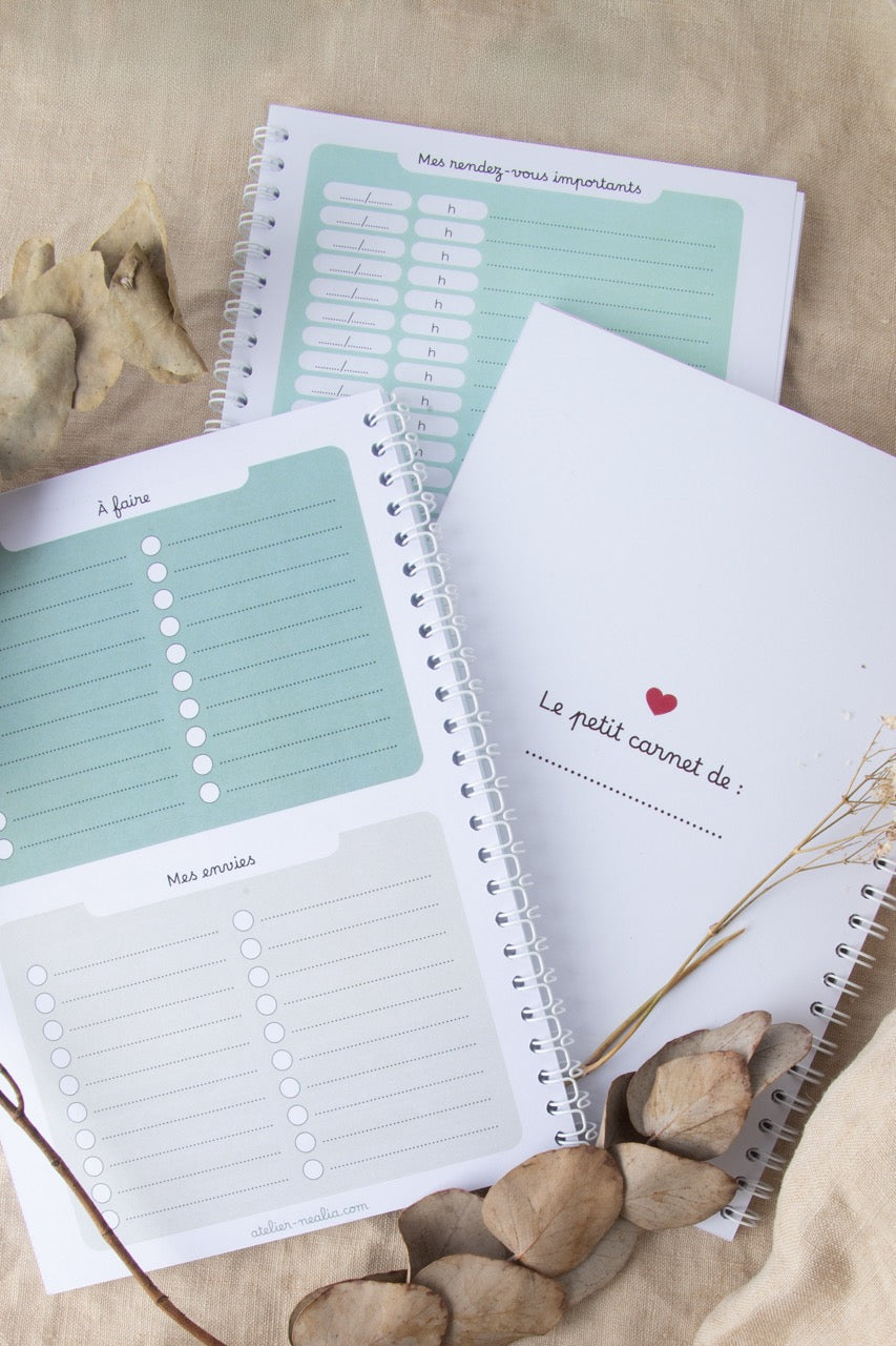 Carnet de suivi bébé 0-3 mois - DINOSAURE