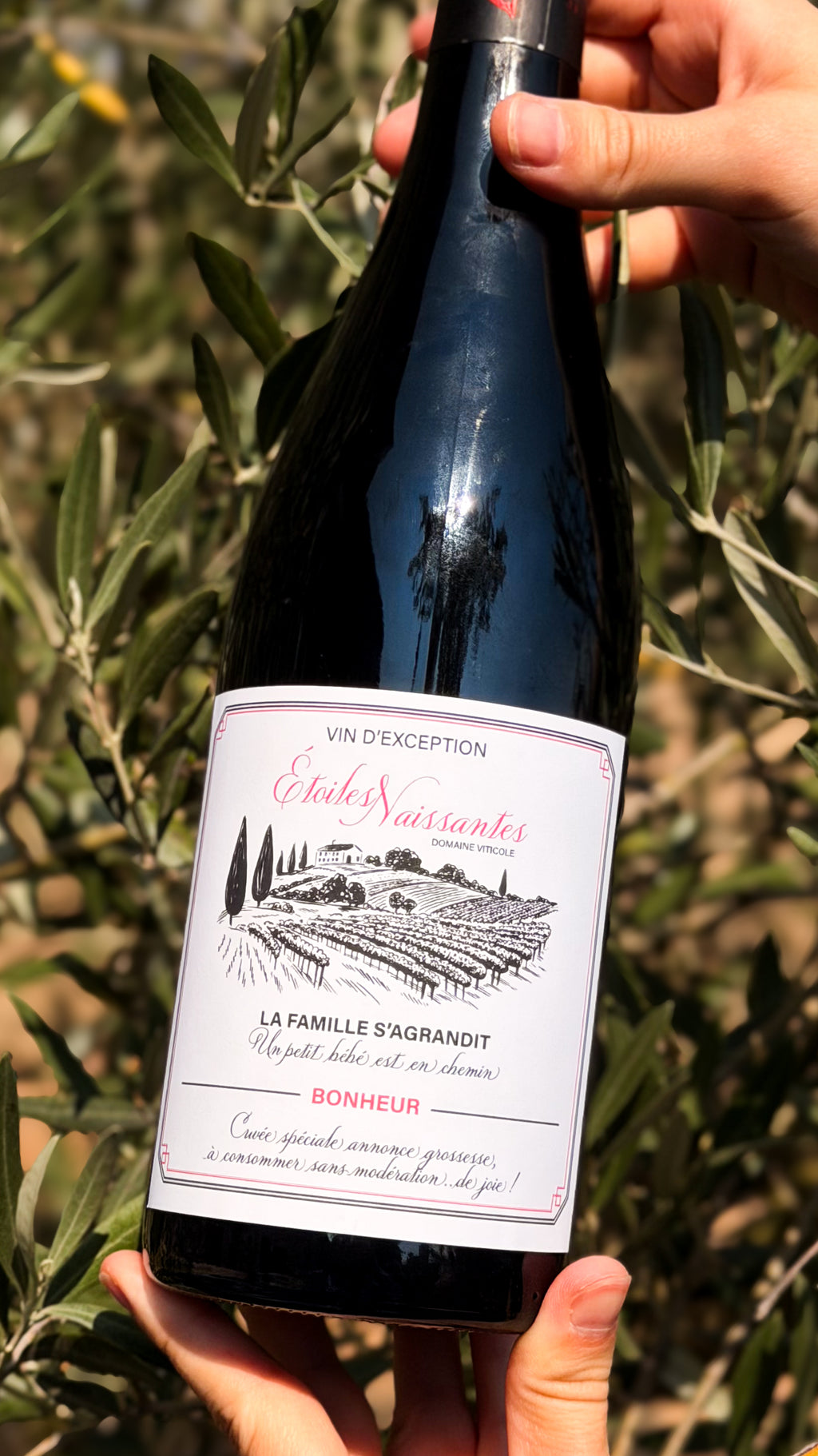 Étiquettes vin annonce de grossesse