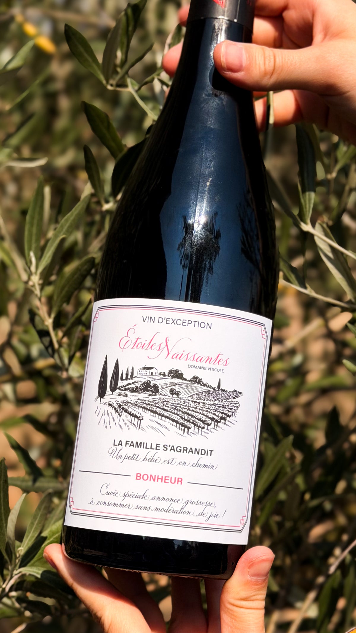 Étiquettes vin annonce de grossesse