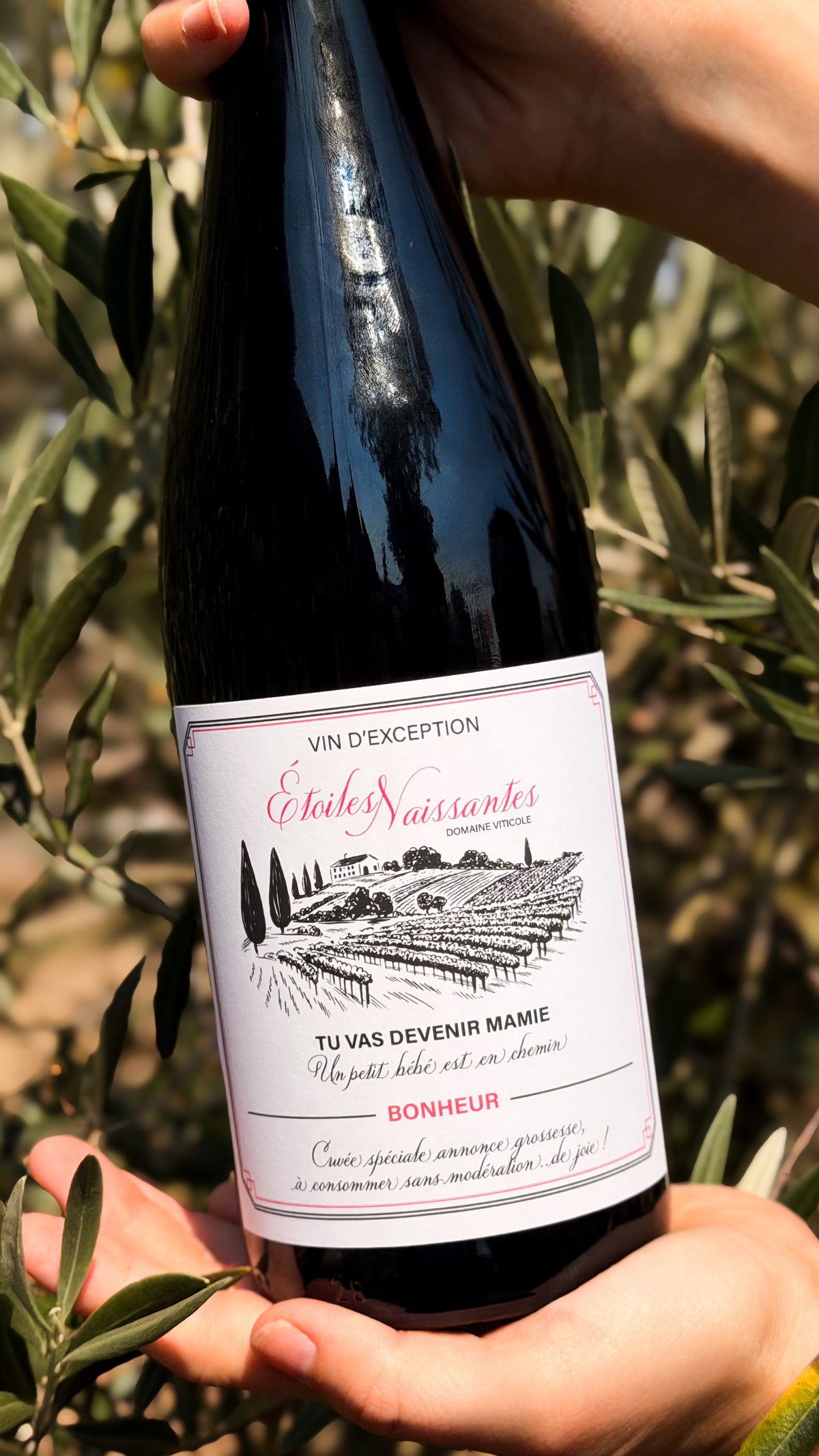Étiquettes vin annonce de grossesse
