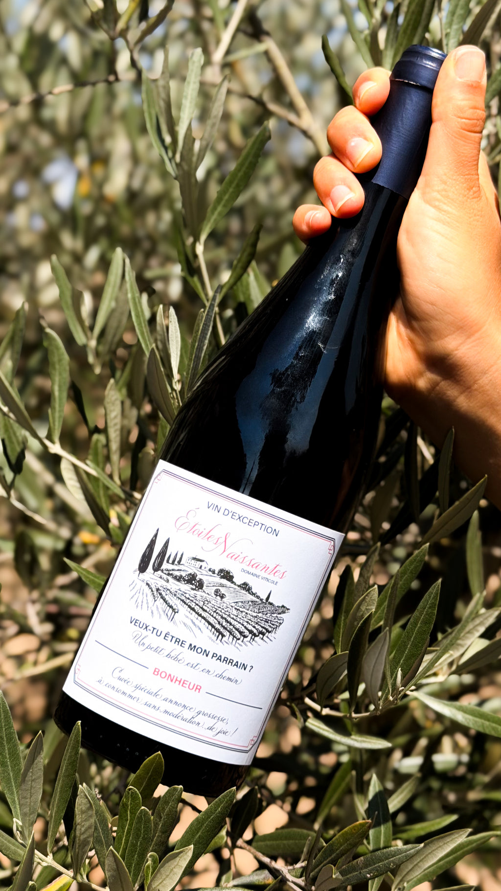 Étiquettes vin annonce de grossesse